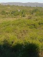 LOTES VILLA LOS CHAÑARES